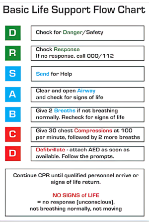 CPR Flowchart Card CWD001